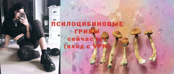 ECSTASY Верея