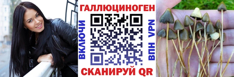 это клад  Череповец  Псилоцибиновые грибы прущие грибы  OMG  