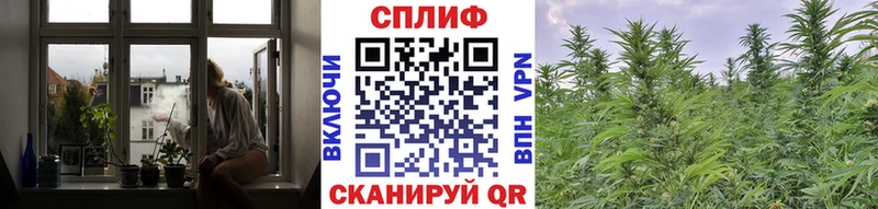 Шишки марихуана SATIVA & INDICA  цена наркотик  Череповец 